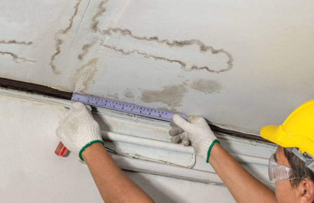 Reliable Water Damage contractor in Gibson, GA by Water Damage Irwin